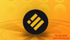 什么是BUSD？BUSD的发展历程一览