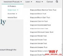  什么是灰度基金（Grayscale）？