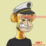 无聊猴/BAYC是什么？教你如何购买价格上百万的「Nf