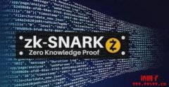 什么是零知识证明(ZKP)?零知识证
