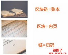 Bitcoin比特币是什么？比特币新手必读入门攻略！