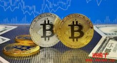 加密货币介绍：新手从零开始认识加密货币是什么！