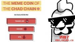 以小博大!一地址投资迷因币COQ获利