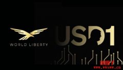 USD1币是什么？如何运作？USD1币未来前景展望