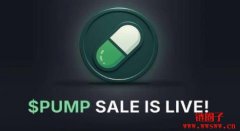 Pump币是什么？Pump代币经济学和最新