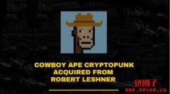 GameSquare扫货百万美元CryptoPunks：NFT能当财务储备？