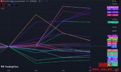 一文全览目前市场上加密储备公司状况以及被储备币种有哪些？