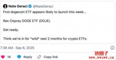 Dogecoin价格预测：DOGE币价格表现与ETF新闻的影响